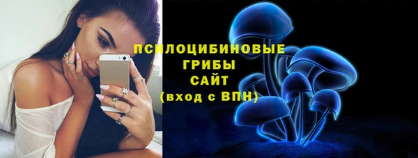 гашик Армянск